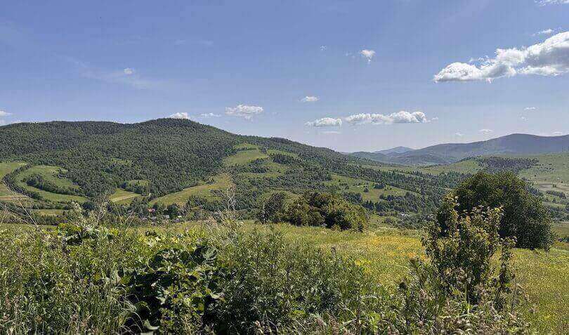 Каркас